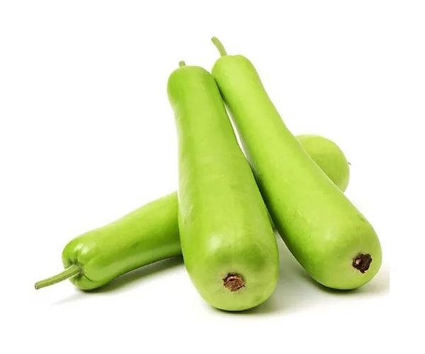 Courgette slaoui
