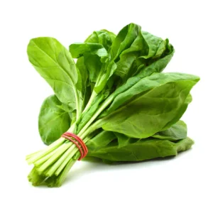 Épinard (Botte) - سبانخ