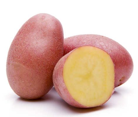 Pomme de terre rouge